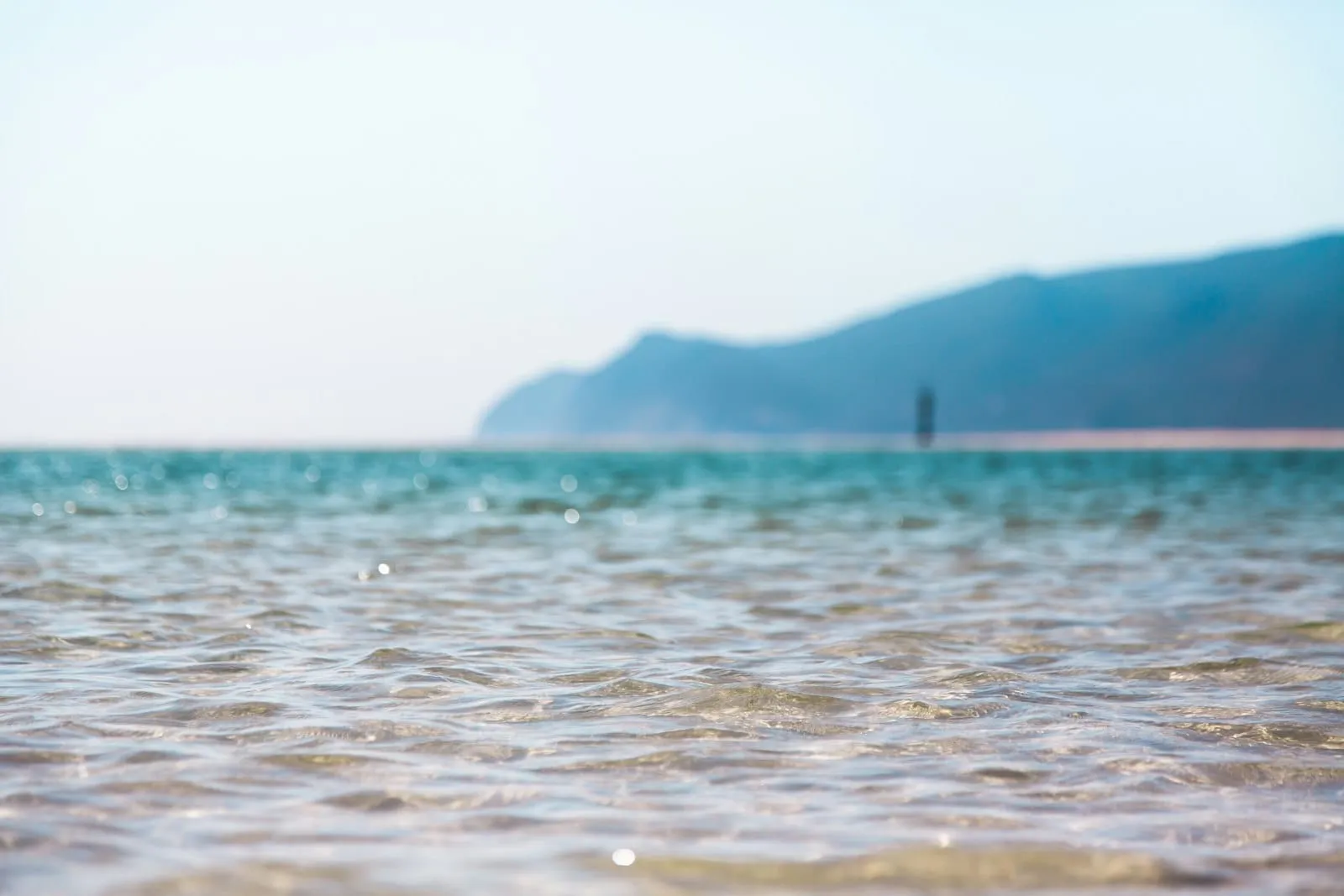 Setúbal — private tour from Lisbon